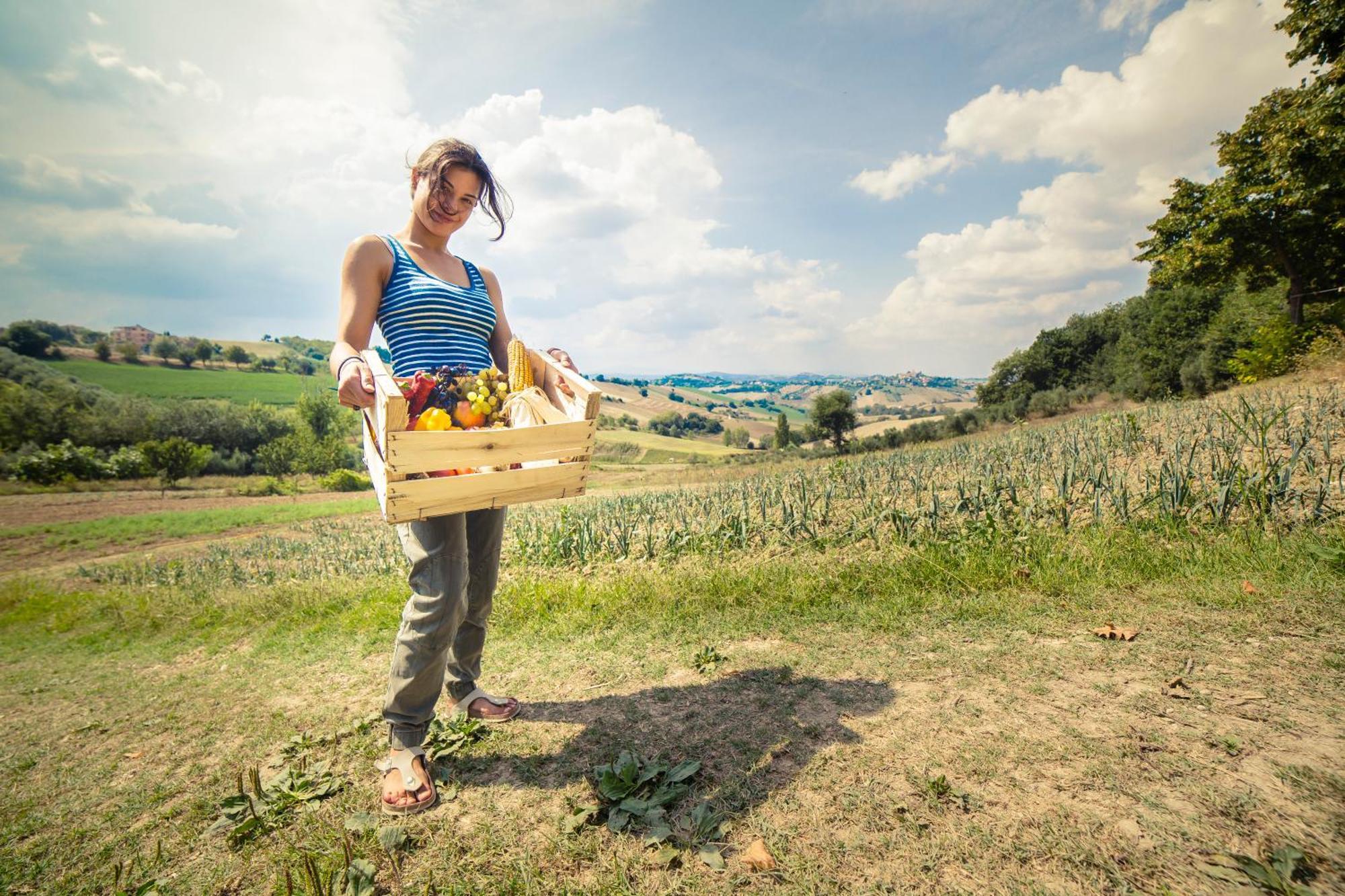 Agriturismo Fonte Carella Monte San Pietrangeli Eksteriør billede